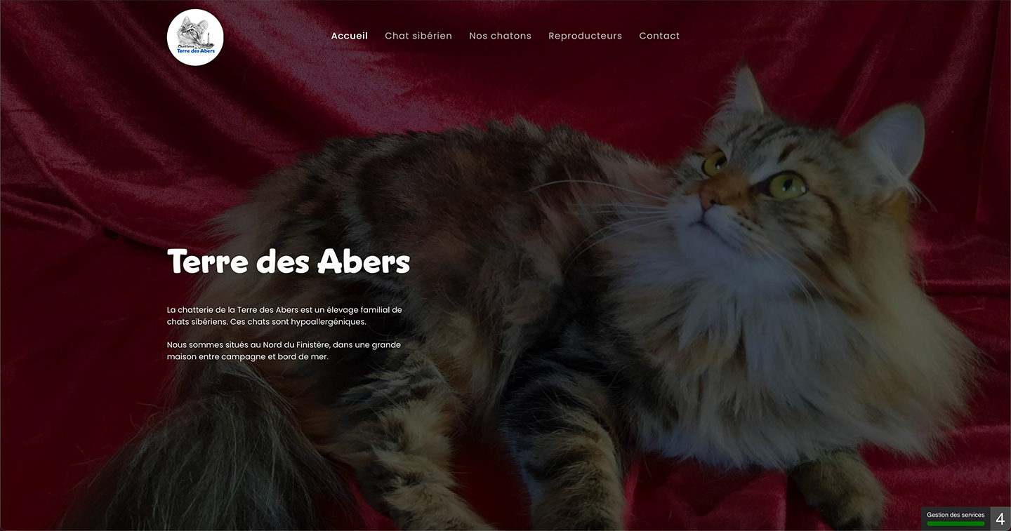 chatteriedelaterredesabers-fr Nos r&eacute;alisations